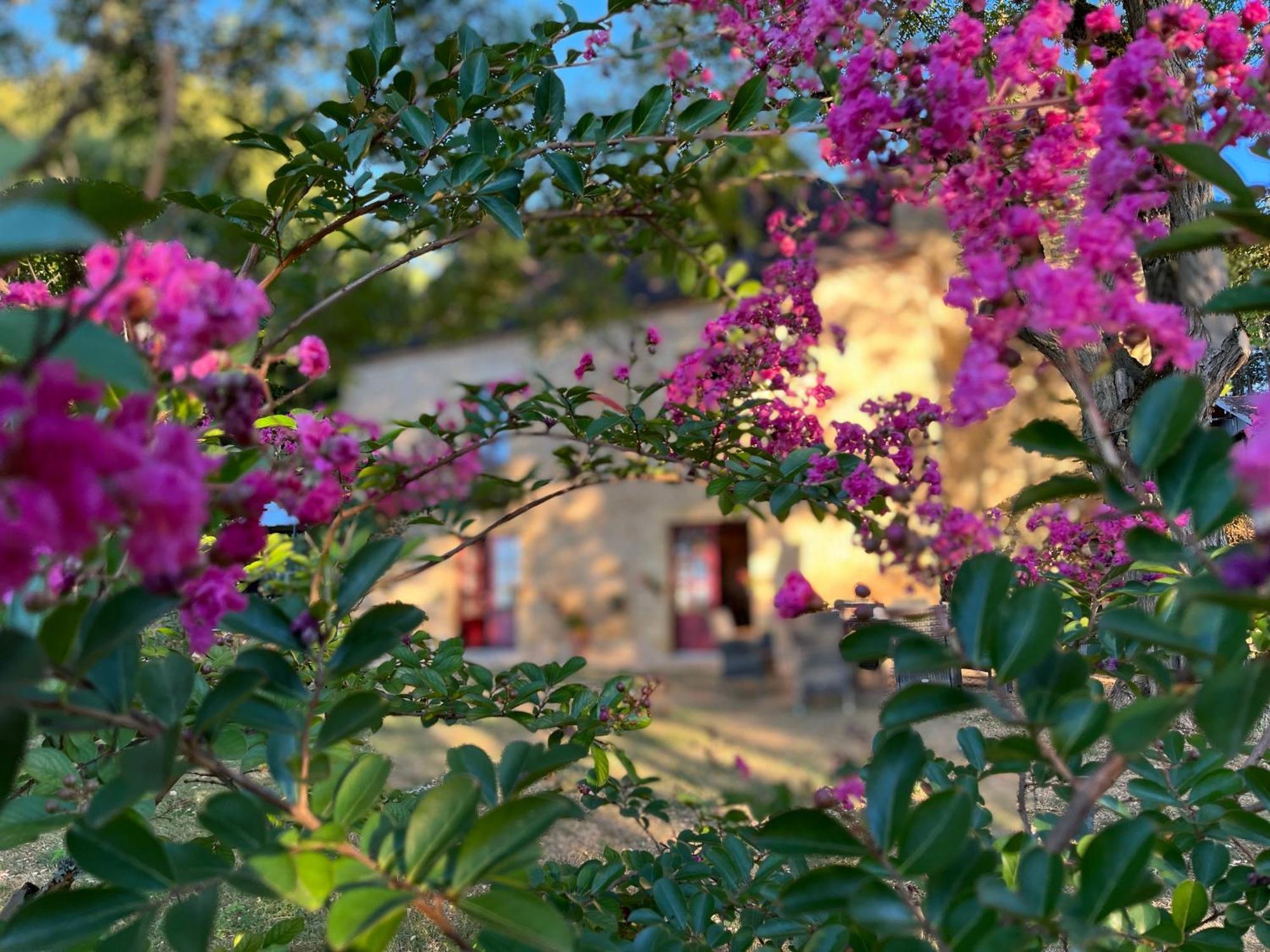 Roquebrune Saint-Alvère Exterior foto